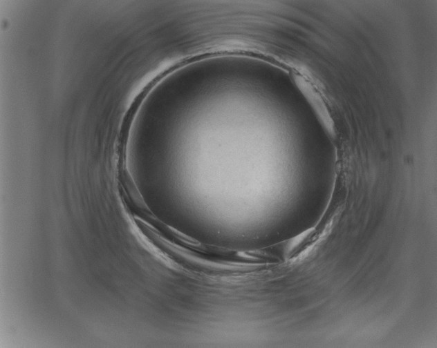 X0000065971134200603061143