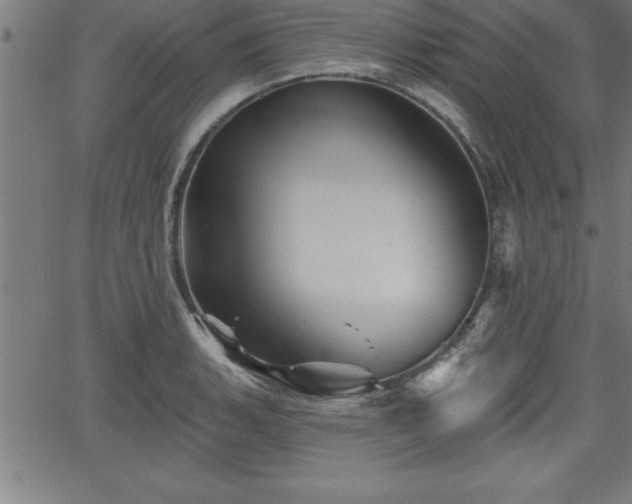 X0000065971135200603061143