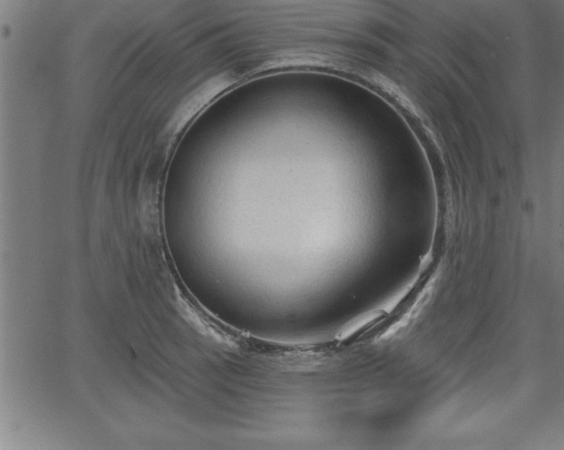 X0000065971137200603061143