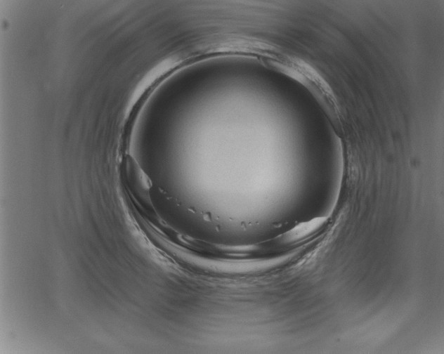 X0000065971138200603061143