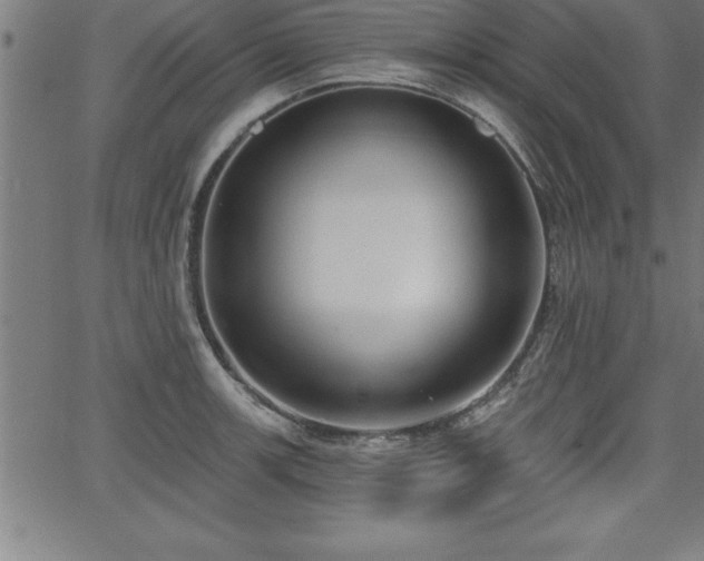 X0000065971139200603061143