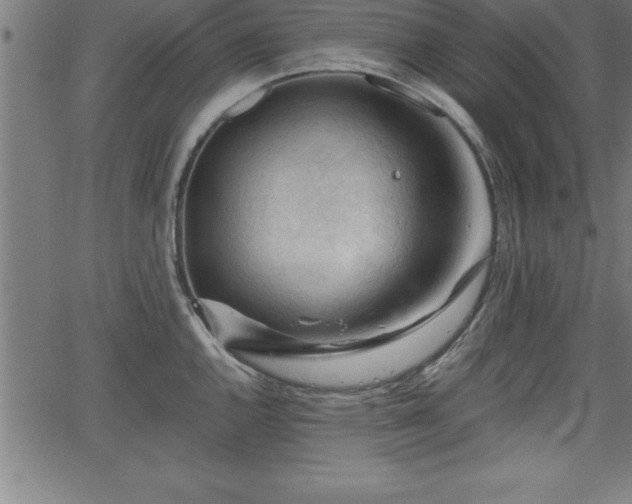 X0000065971144200603061143