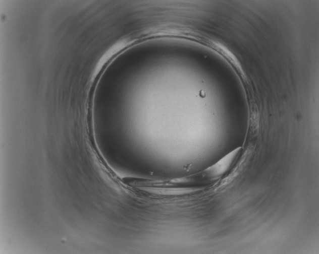 X0000065971146200603061143