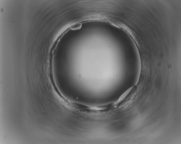 X0000065971147200603061143