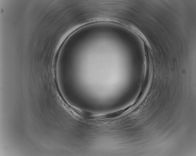 X0000065971148200603061143