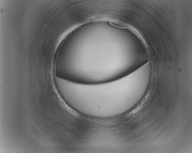 X0000065971149200603061143