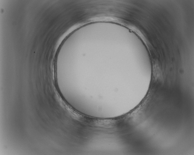 X0000065971150200603061143