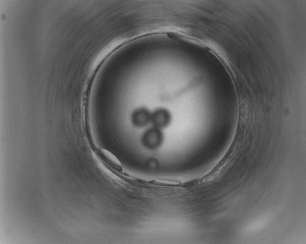 X0000065971151200603061143