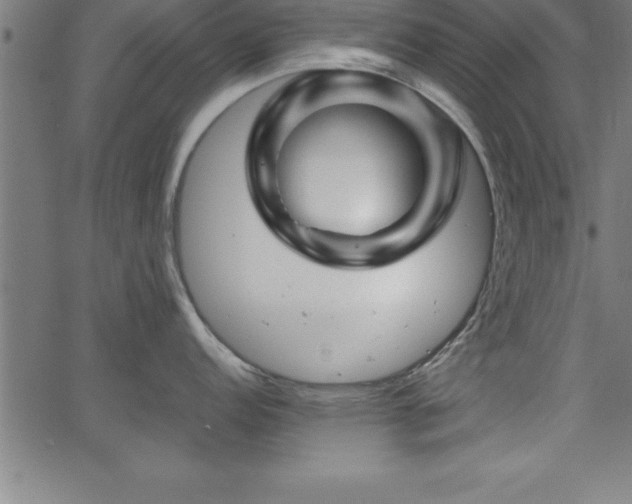 X0000065971152200603061143