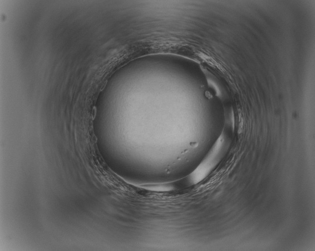 X0000065971153200603061142