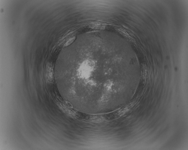 X0000065971154200603061142