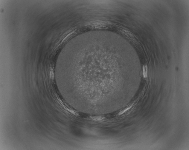 X0000065971155200603061142