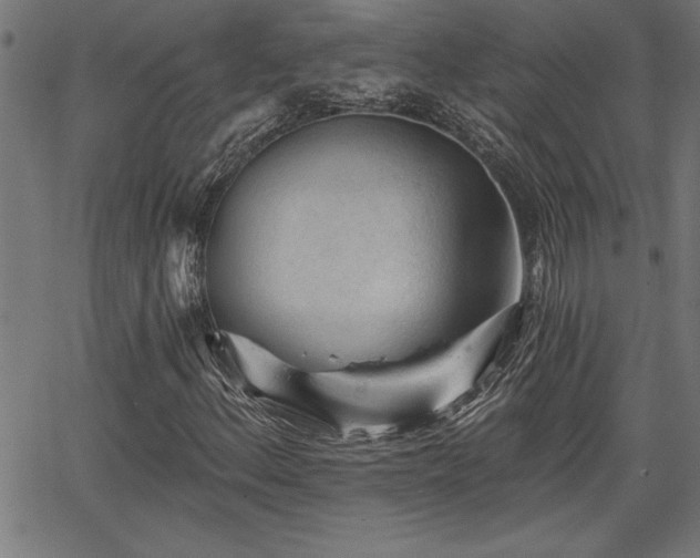 X0000065971156200603061142