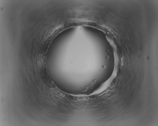 X0000065971157200603061142