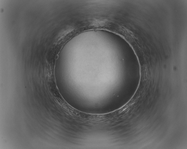 X0000065971158200603061142