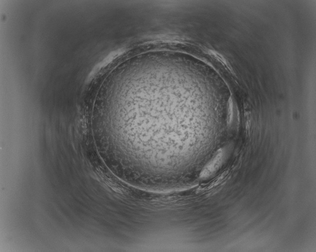 X0000065971159200603061142