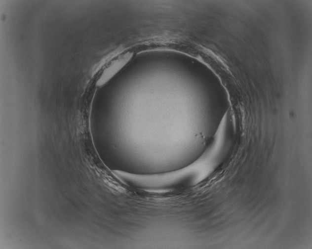 X0000065971160200603061142