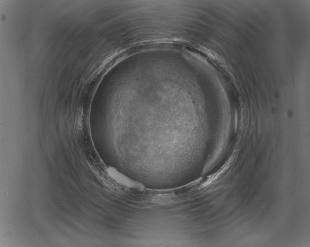 X0000065971161200603061142