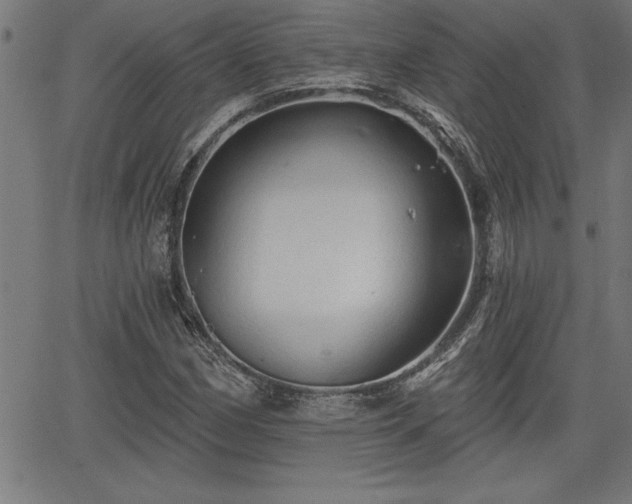 X0000065971162200603061142