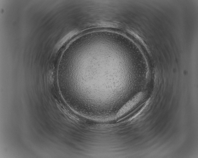 X0000065971163200603061142