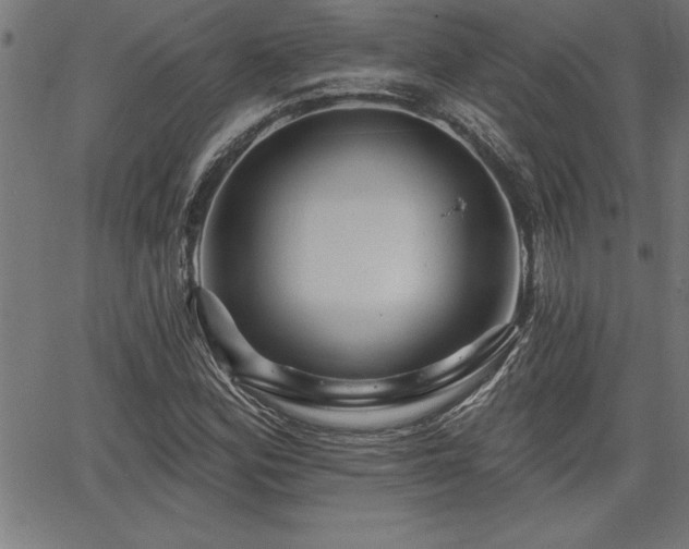 X0000065971164200603061142