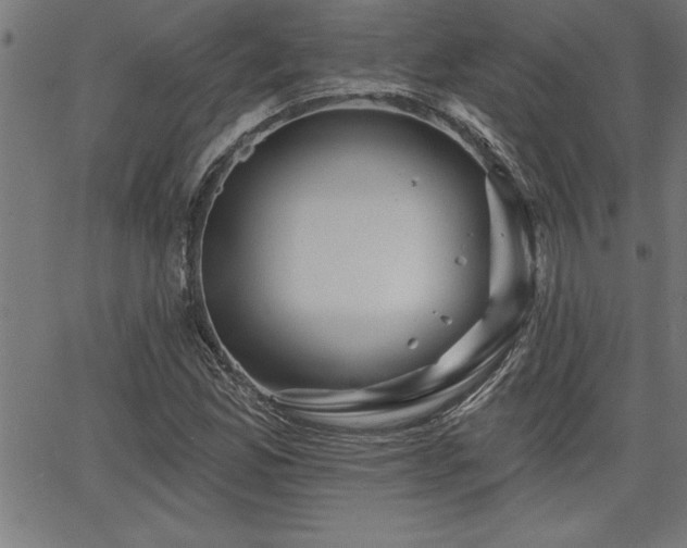 X0000065971165200603061142