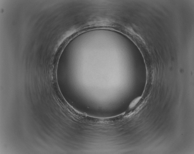 X0000065971166200603061142