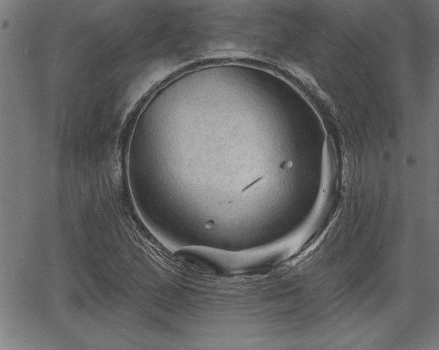 X0000065971167200603061142