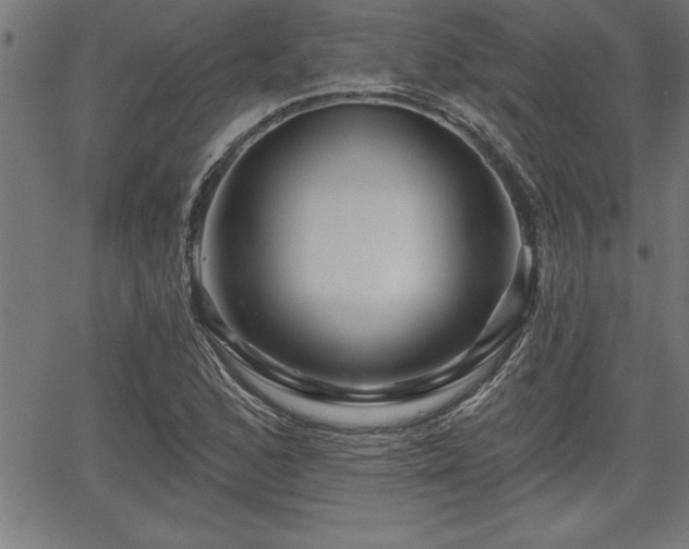 X0000065971168200603061142