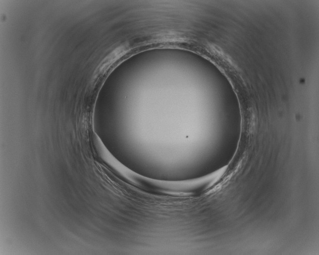 X0000065971169200603061142