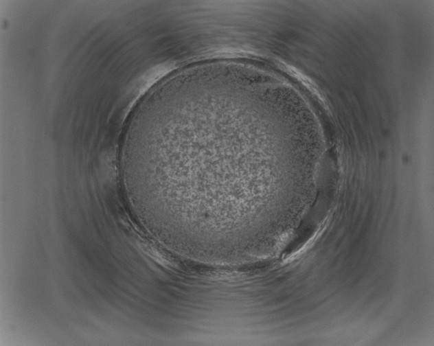 X0000065971170200603061142