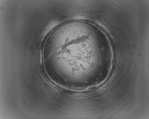 X0000065971171200603061142