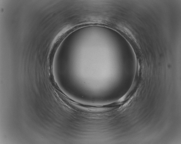 X0000065971172200603061142