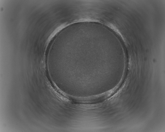 X0000065971173200603061142