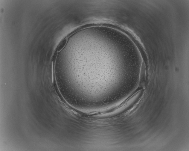 X0000065971175200603061142