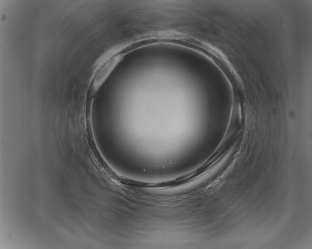 X0000065971176200603061142