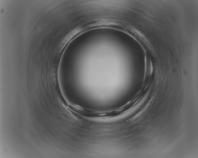 X0000065971177200603061142