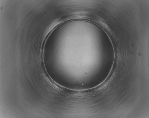 X0000065971178200603061142