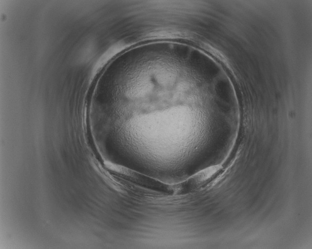 X0000065971179200603061142