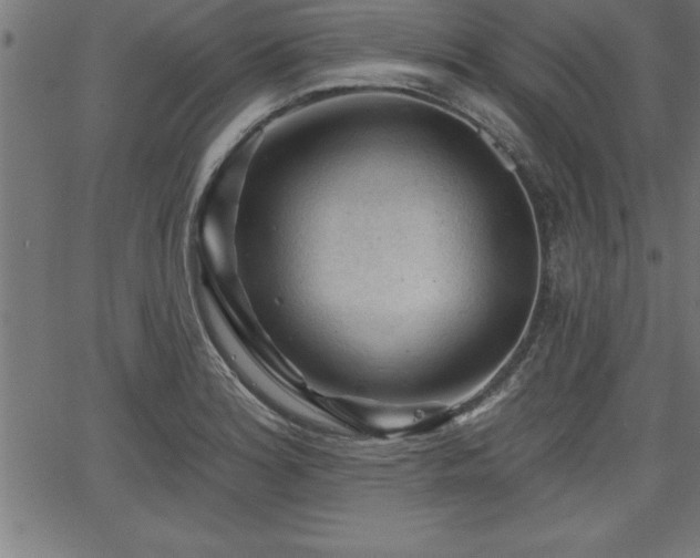 X0000065971180200603061142