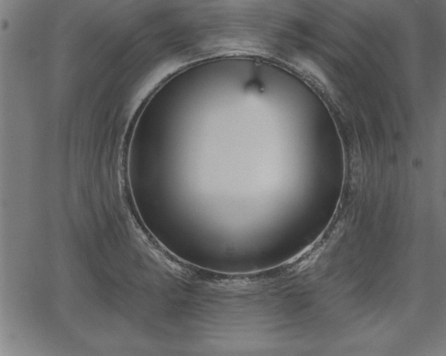 X0000065971182200603061142