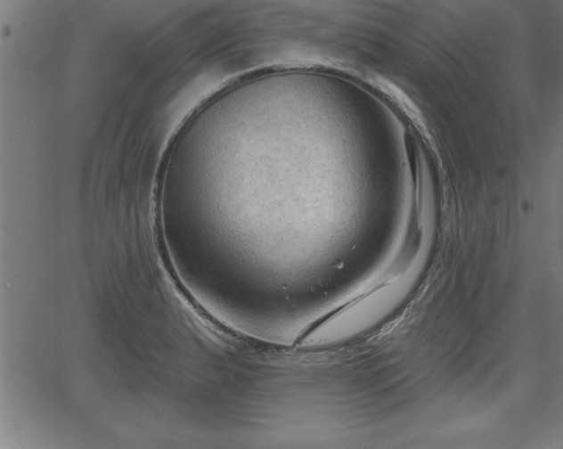 X0000065971183200603061142