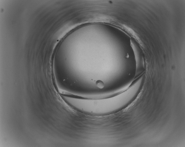 X0000065971184200603061142