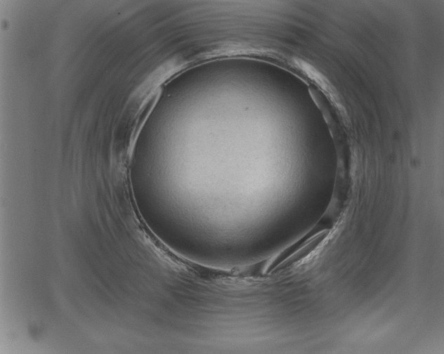 X0000065971185200603061142