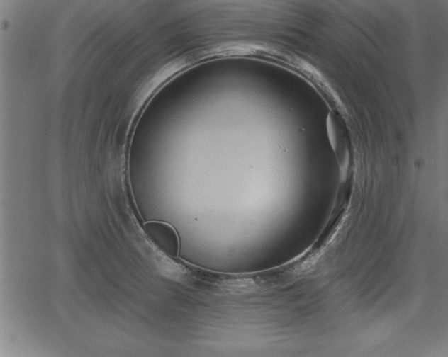 X0000065971186200603061142