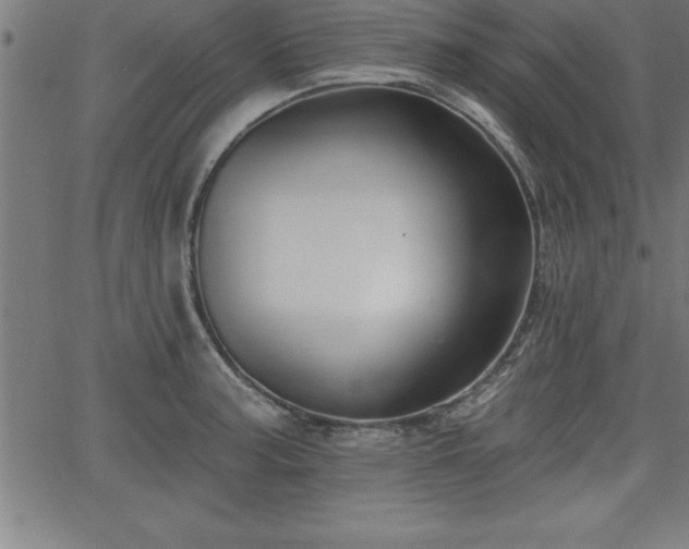 X0000065971187200603061142