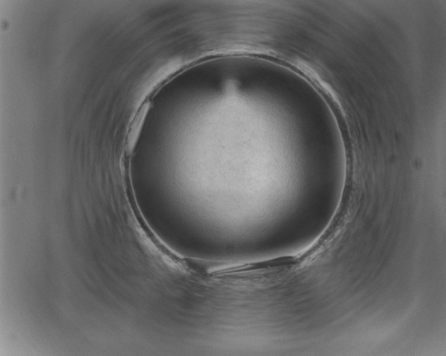 X0000065971189200603061142