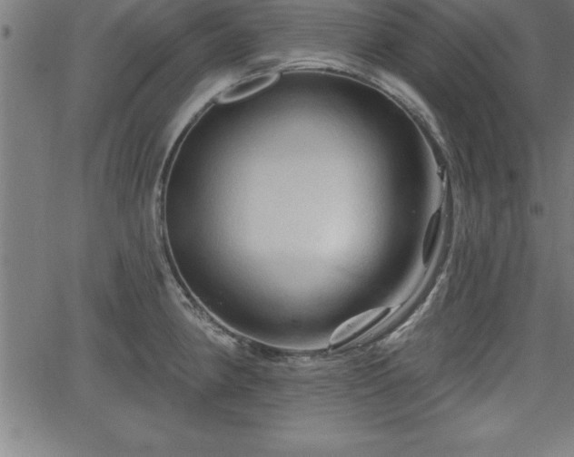 X0000065971190200603061142