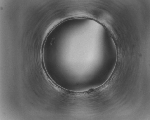 X0000065971191200603061142