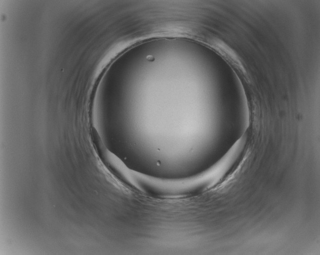 X0000065971192200603061142